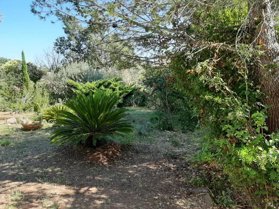 לה קאנה-דה-מור Mas Provencal Au Cannet Des Maures מראה חיצוני תמונה